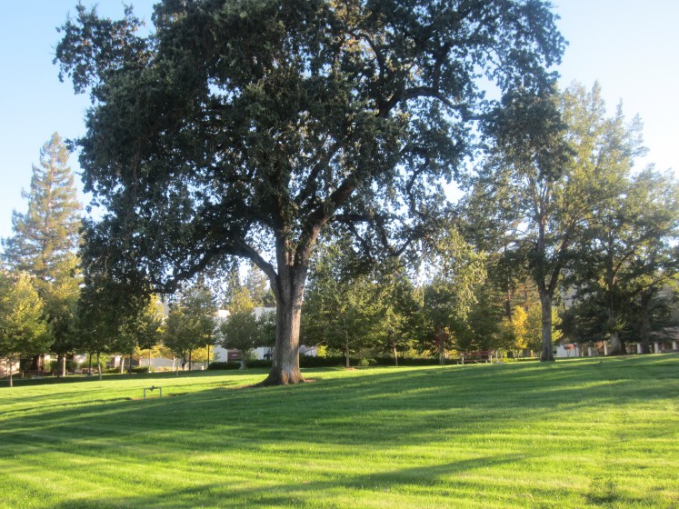 Veterans Home of California, Yountville