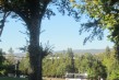 'The Office' on the grounds of the Veterans Home of CA, Yountville