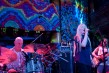 BobMinkin-7357<br/>Photo by: Bob Minkin