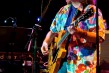 Moonalice-11-25-2011-by-Bob-Minkin-4246<br/>Photo by: Bob Minkin