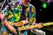 photo-bob-minkin-2948<br/>Photo by: Bob Minkin