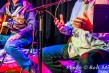 Roger-McNamee-Solo-Sweetwater-0529<br/>Photo by: Bob Minkin