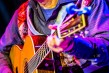 Roger-McNamee-Solo-Sweetwater-0664<br/>Photo by: Bob Minkin