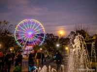 Moonalice Finishes 2021 In Golden Gate Park: Howl!