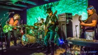 Moonalice in Monterey Herald