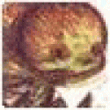 Geraldglype's picture Geraldglype's picture