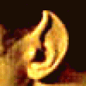 Jaredclemi's picture Jaredclemi's picture