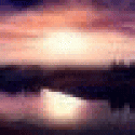 DogsAltek's picture DogsAltek's picture
