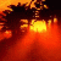 Waynesotly's picture Waynesotly's picture