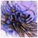 Williefop's picture Williefop's picture
