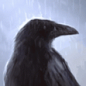 ManuelLiess's picture ManuelLiess's picture