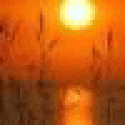 Thomasmetly's picture Thomasmetly's picture