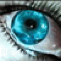 Williamanelo's picture Williamanelo's picture
