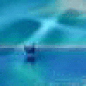 Larryteals's picture Larryteals's picture