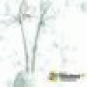 RichardSwets's picture RichardSwets's picture
