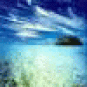 LorenYS's picture LorenYS's picture
