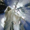 Stollfady's picture