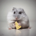 DavidAX's picture DavidAX's picture