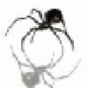 WilliamJex's picture WilliamJex's picture