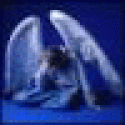 Ashtonoa's picture Ashtonoa's picture