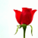 Victororerm's picture Victororerm's picture
