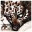 Muotgesourn's picture Muotgesourn's picture