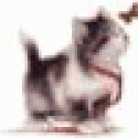 OllieLat's picture OllieLat's picture