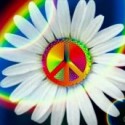 Hippie Luvv's picture Hippie Luvv's picture