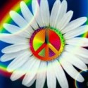 Hippie Luvv's picture