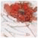 Anrykacoons's picture Anrykacoons's picture