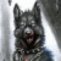 StripPar's picture StripPar's picture