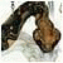 WilliamSem's picture WilliamSem's picture