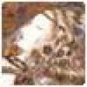 SarahBom's picture SarahBom's picture
