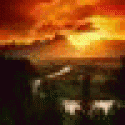 CharlesUntog's picture