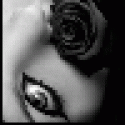 Ashleyjex's picture Ashleyjex's picture