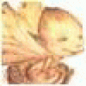 Stephensnony's picture Stephensnony's picture