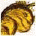 AntonioCaump's picture AntonioCaump's picture